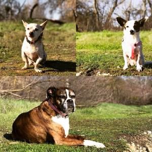 Meet your Posher, Jimmy